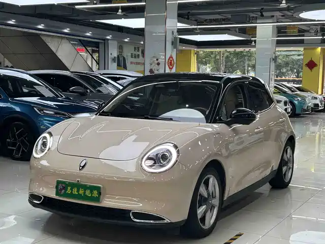  Ora Ora Good Cat 2021 400km Standard Range Venus Edition (LFP)