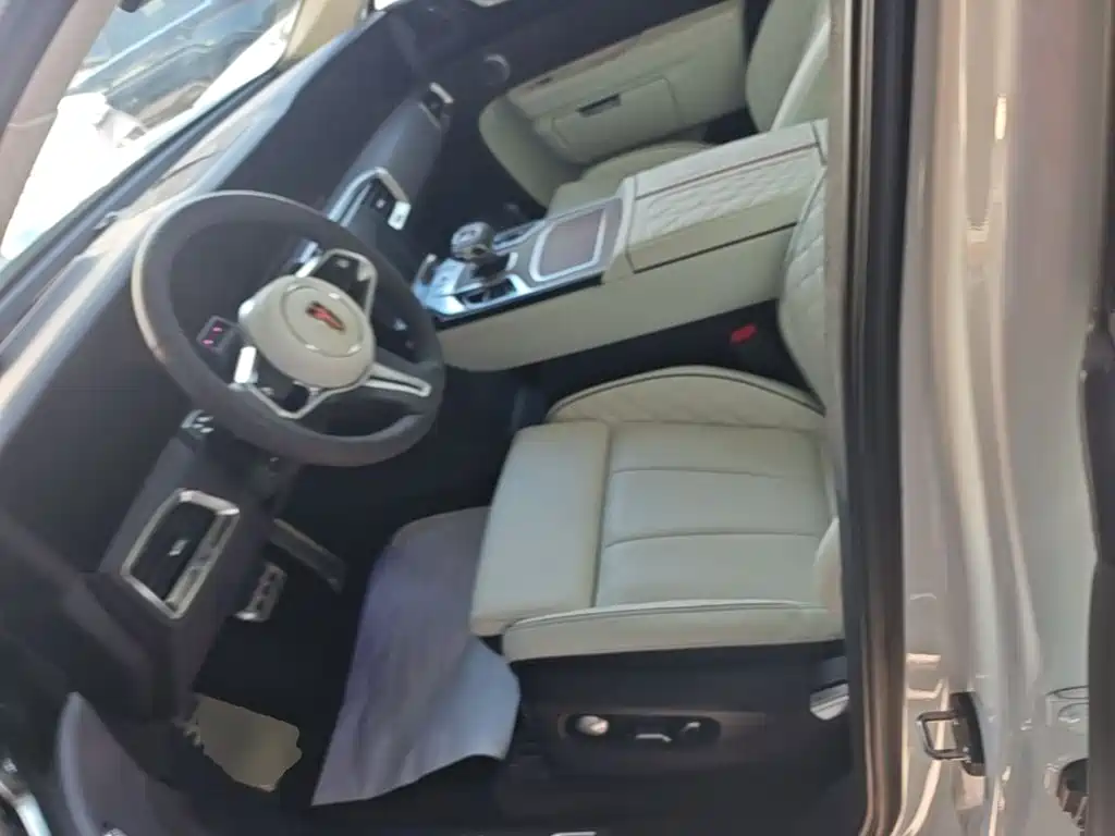 Hongqi E-HS9 2023 2022 660km Qi Ling Edition (4-seater)