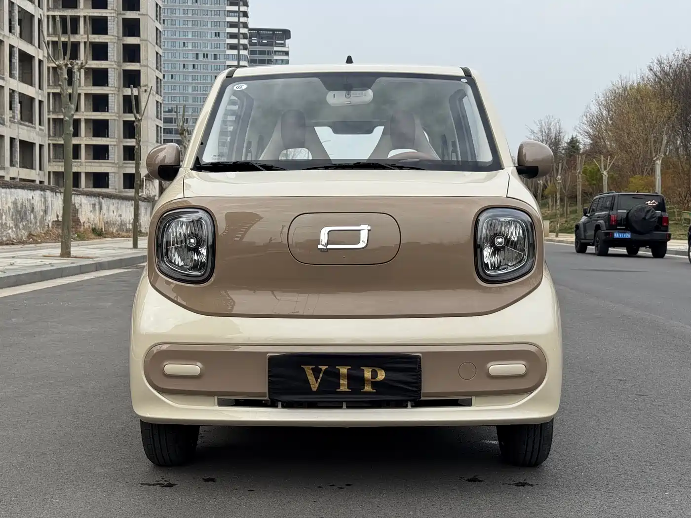 BESTUNE PENTIUM PONY