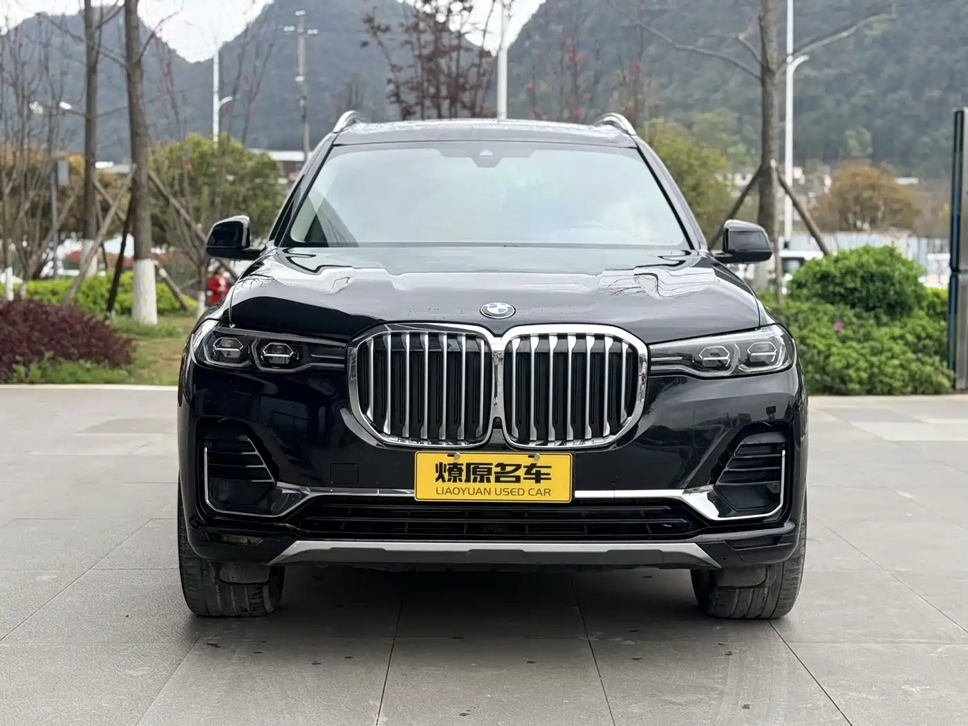 BMW X7 2021 xDrive40i Leading Luxury Package фото 2