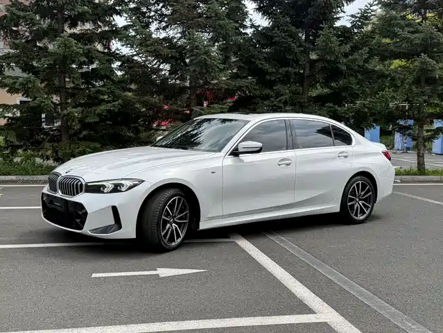 BMW 3 320Li, M Спорт-пакет