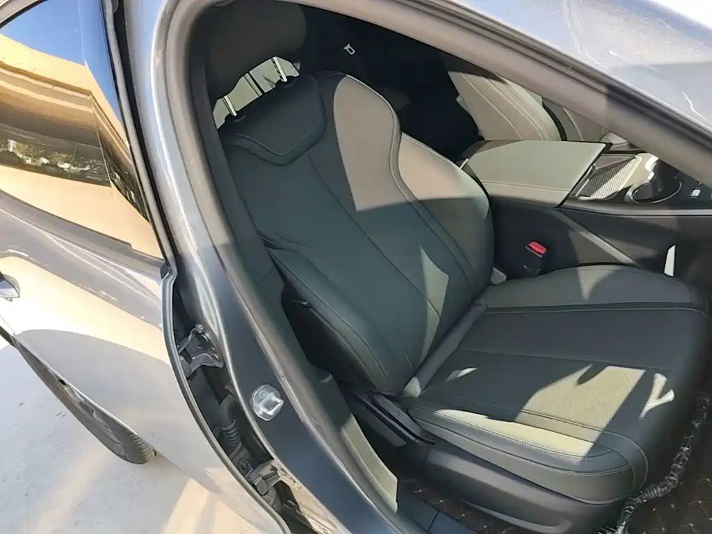 Фото 25 - BYD Qin PLUS