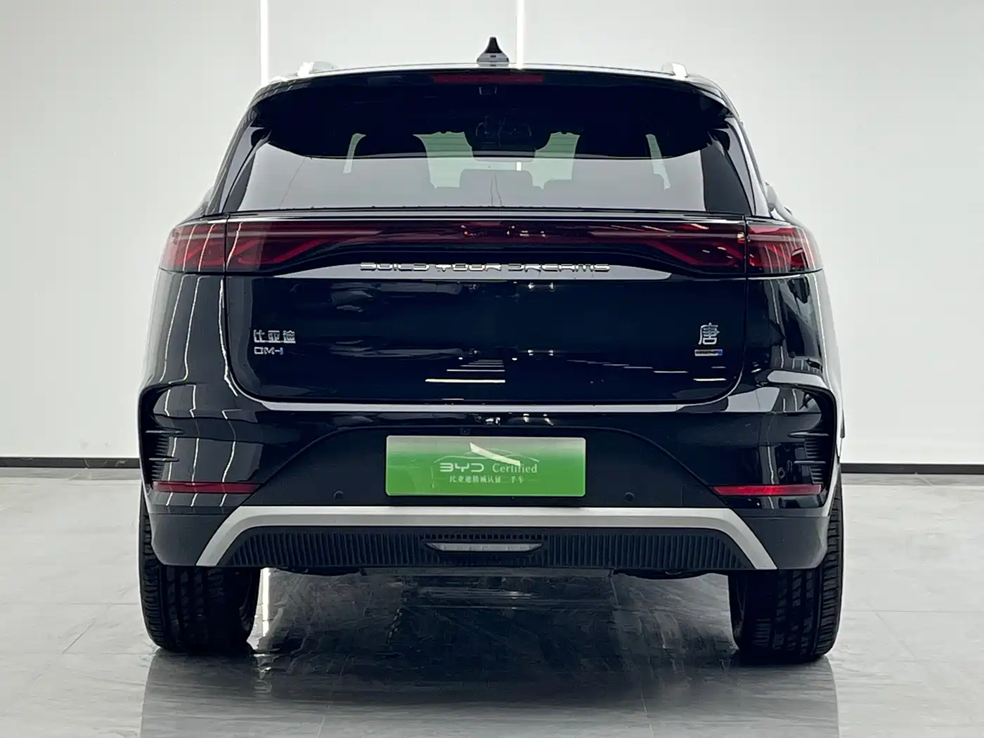 BYD Tang New Energy 2025 2025 Smart Driving Edition DM-i 115KM Flagship