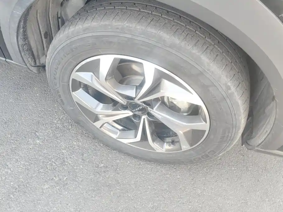 Haval Shenshou 2023 2022 1.5T Intelligent Premium Edition