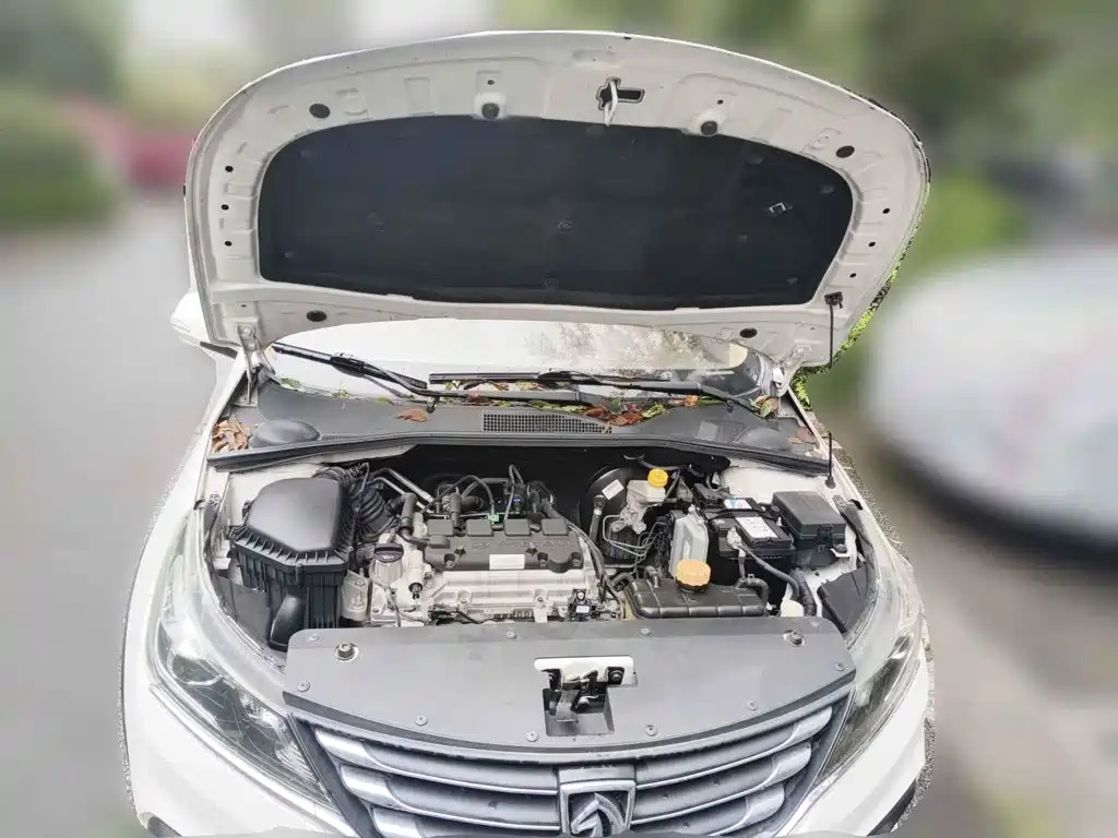 Baojun 310W 2019 2017 1.5L Manual Comfort China VI