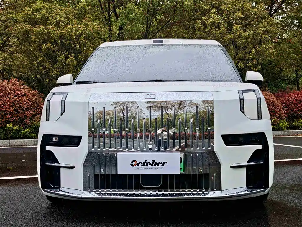 ZEEKR EXTREME KRYPTON 009