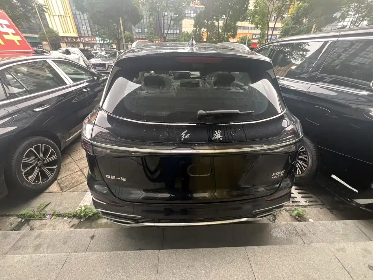 Hongqi HS5 2026 2025 2.0T 2WD Qixiang Pro