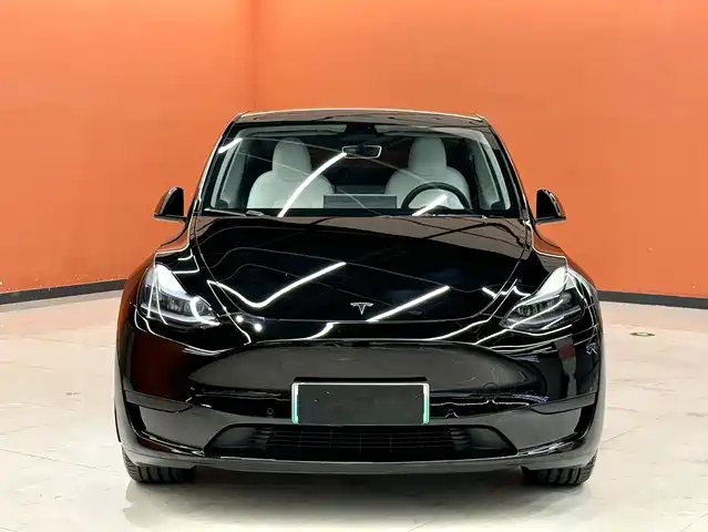 Tesla Model Y 2022 Rear-Wheel Drive Version — фото 2