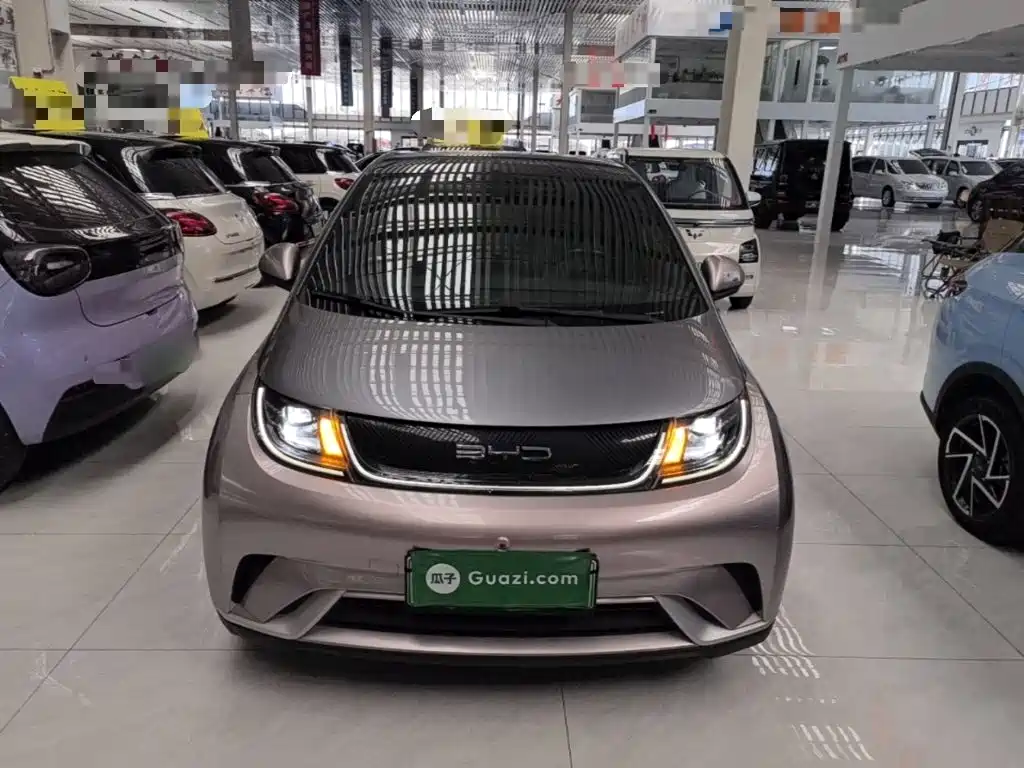 Фото 3 - BYD Dolphin