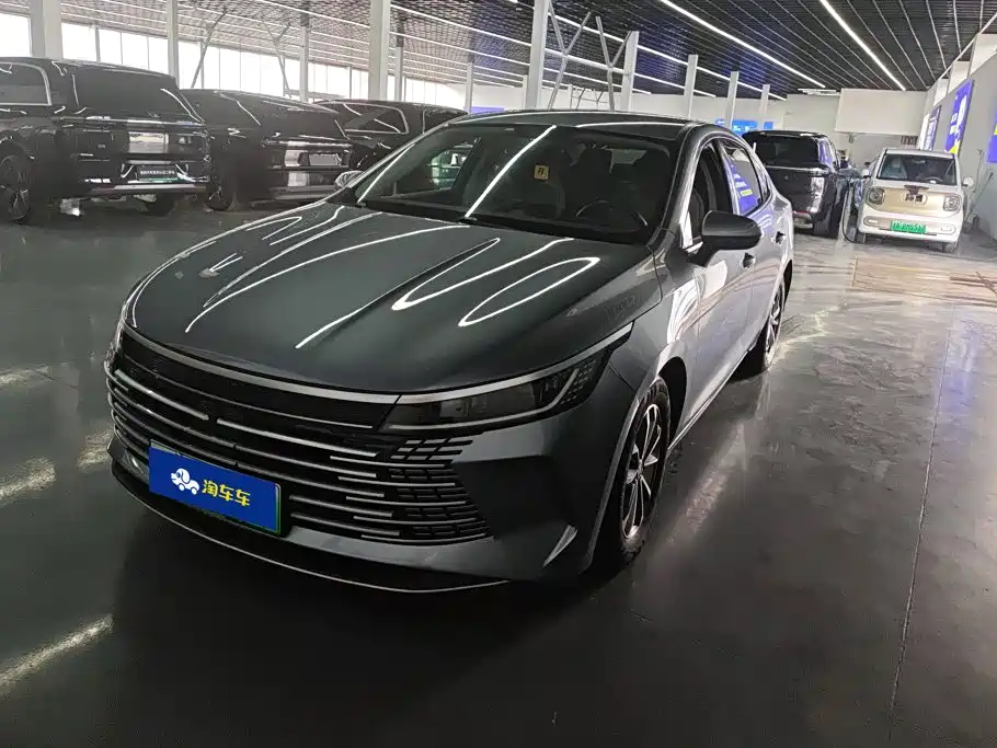 BYD Destroyer 05 2024