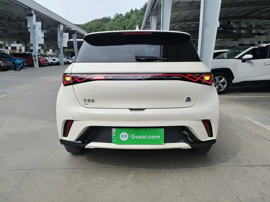 Фото 6 - BYD Dolphin