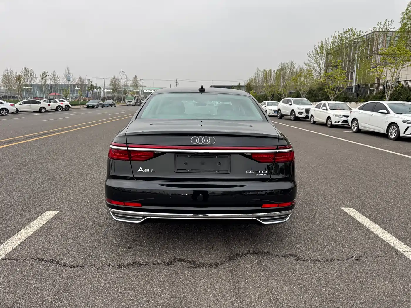 Audi A8 2018 A8L 55 TFSI quattro Launch Premium фото 6