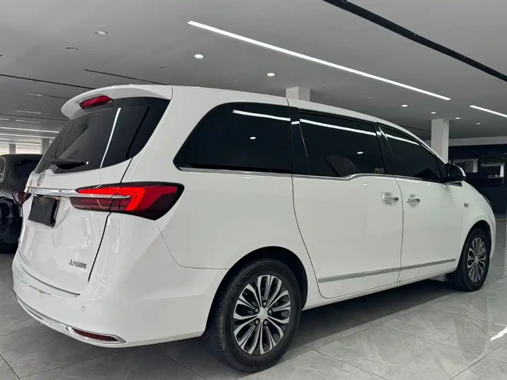 Buick GL8 2020 Model Land Business Class 652T Luxury фото 12