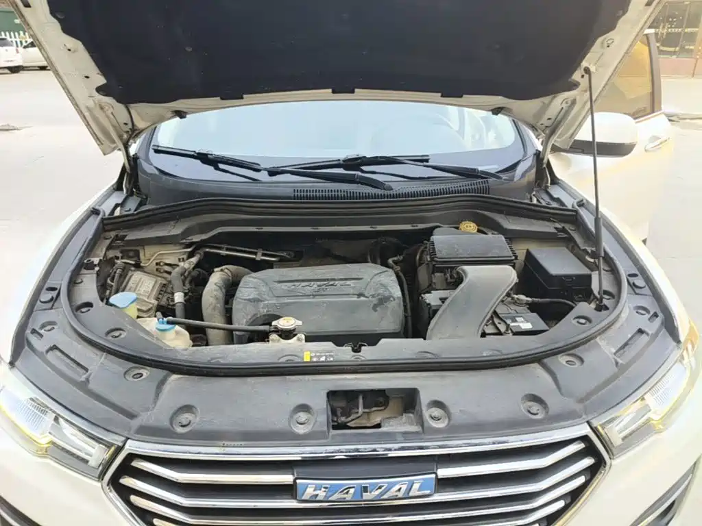صورة 20 - Haval H2s