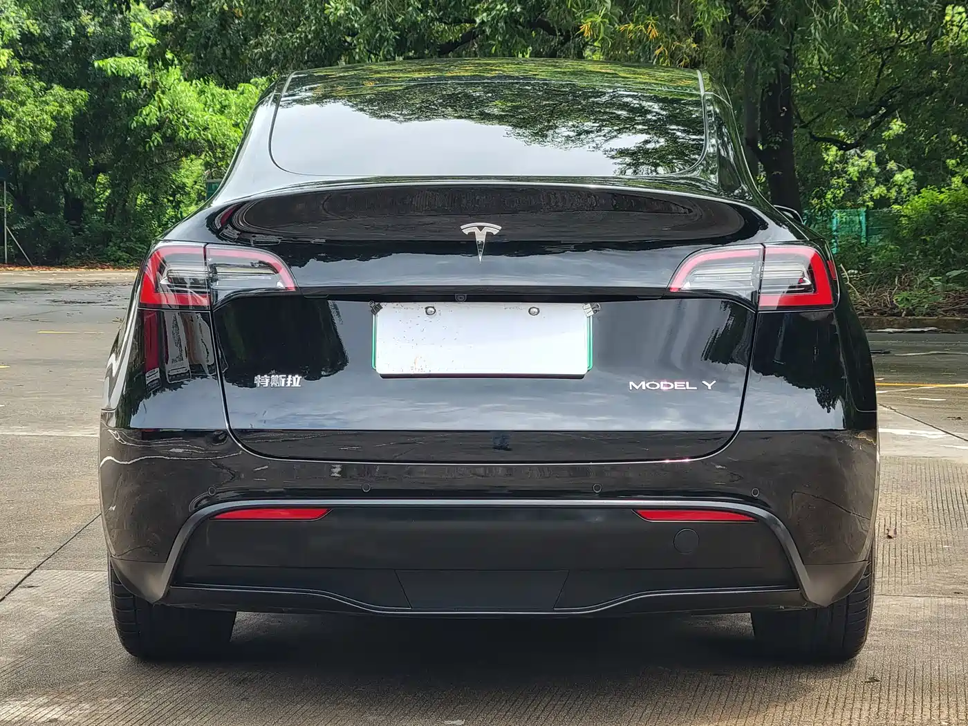 Tesla Model Y 2021 2021 Standard Range Rear-Wheel Drive