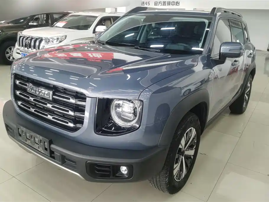 Haval Big Dog 2021 1.5T DCT 2WD Labrador Edition