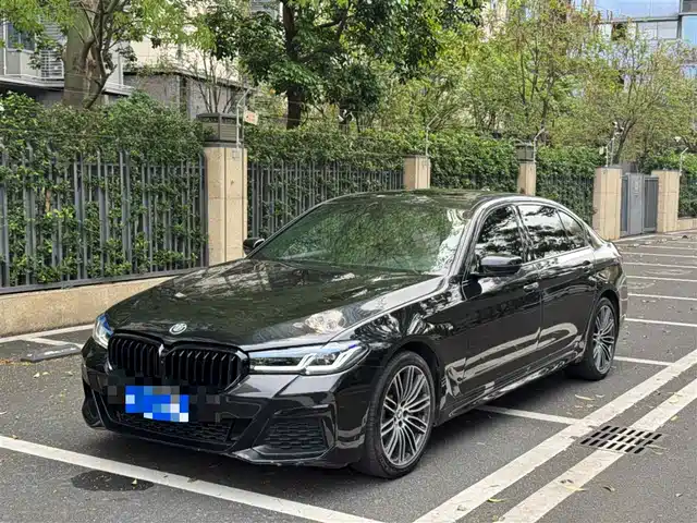 BMW 5 SERIES