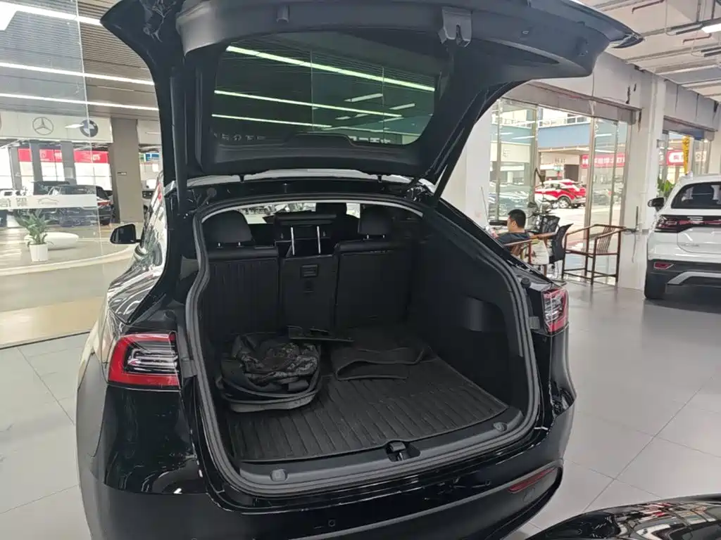 Tesla Model Y 2021 2021 Standard Range Rear-Wheel Drive