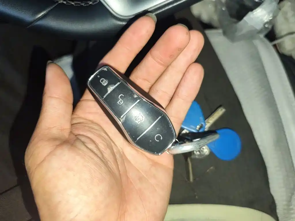 BYD Song Pro New Energy 2025 2nd Generation Smart Drive Edition DM-i 75KM Leading Type фото 12