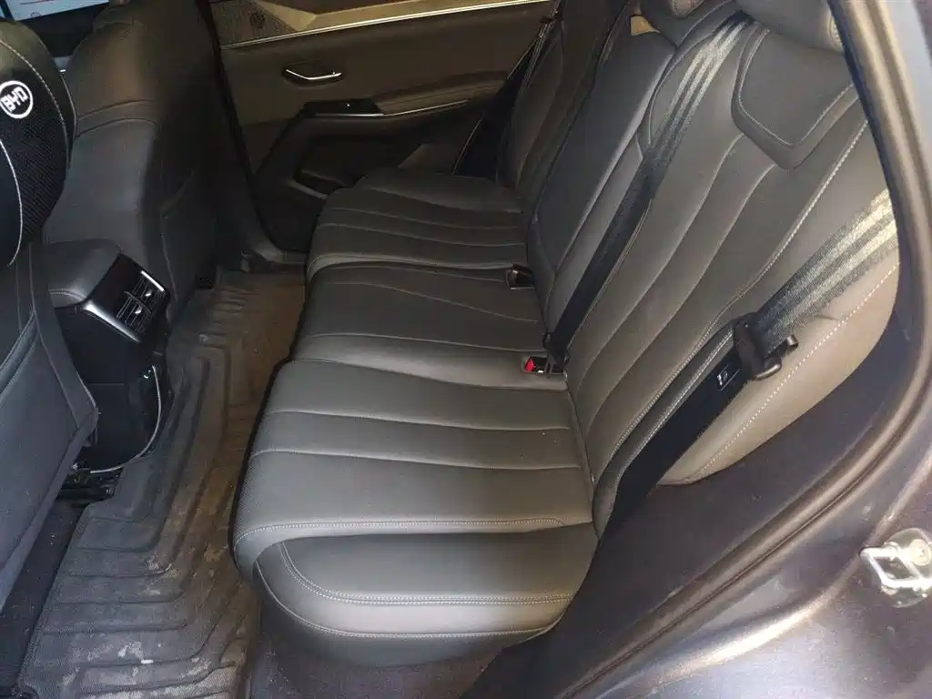 BYD Song Pro New Energy 2025 2nd Generation Smart Drive Edition DM-i 75KM Leading Type фото 15
