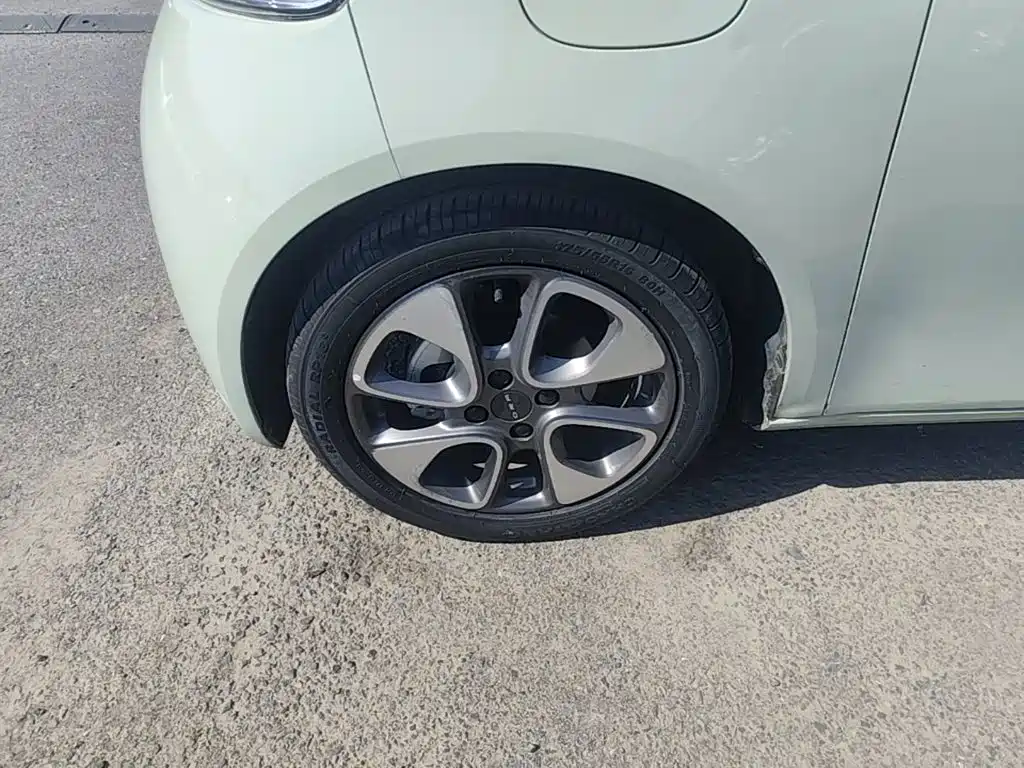 Ora White Cat 2021 2020 401km Flagship Model
