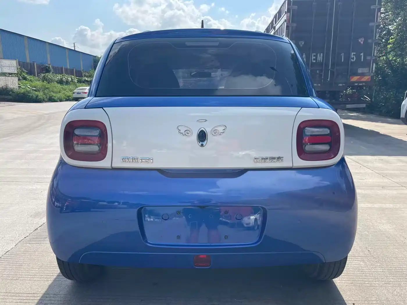 Ora Black Cat 2019 2019 310km Fun Edition