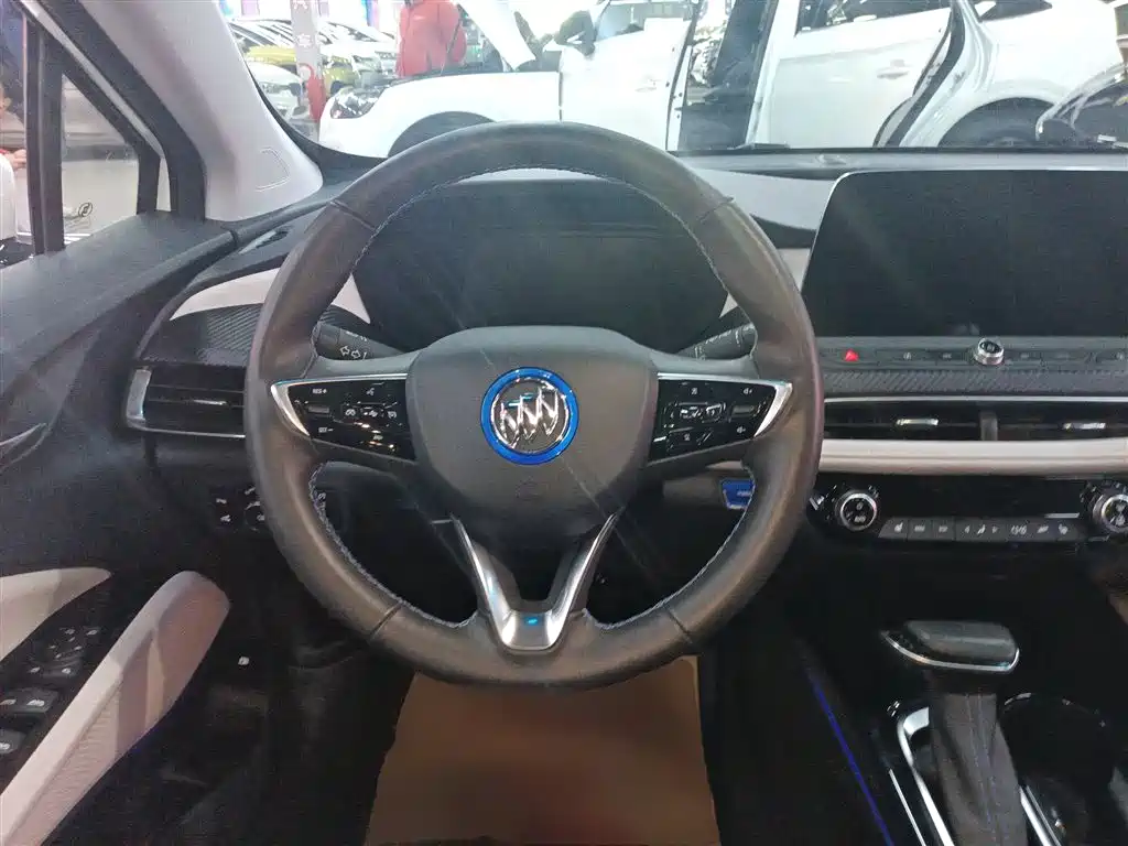 BUICK SLIGHTLY BLUE 6