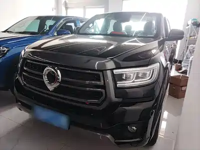 Great Wall Poer