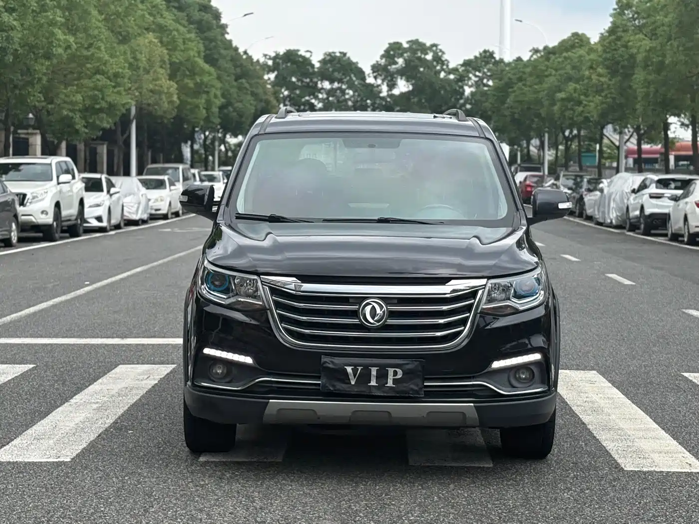 Dongfeng Fengxing Fengxing SX6 2018 2018 1.6L Manual Luxury