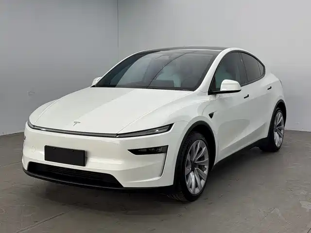 Tesla Model Y Увеличенный запас хода, полный привод, Премьерная