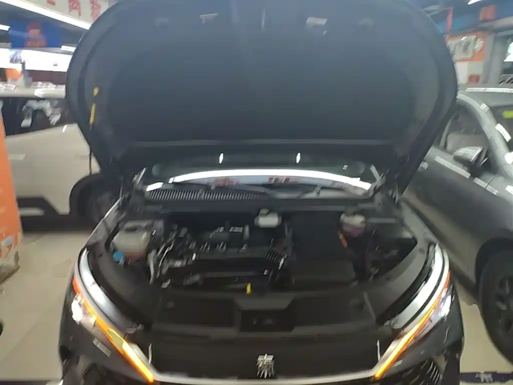 BYD Qin L 2024 DM-i 120KM Leading фото 20