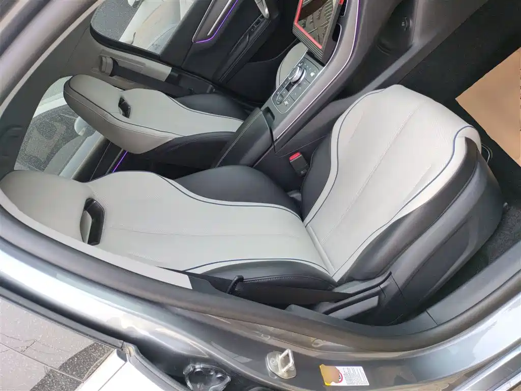 BYD Destroyer 05 2023 Champion Edition DM-i 55KM Luxury фото 25