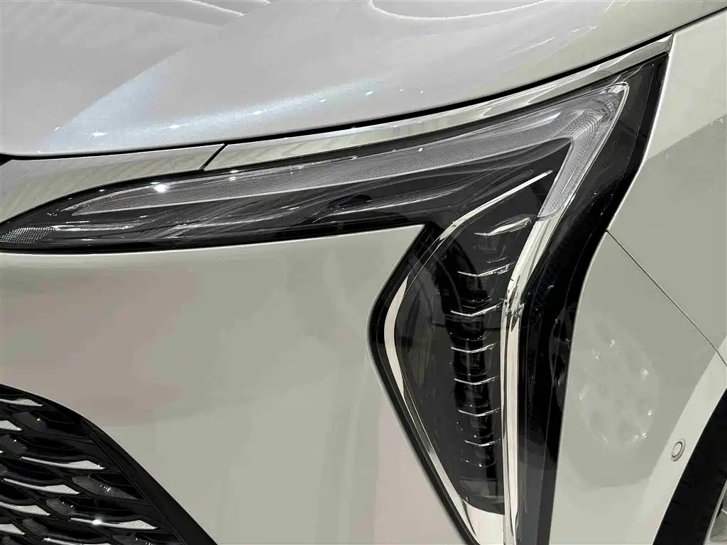 Buick Century 2023 2.0T 6-Seat World Edition фото 5