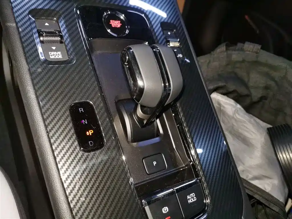 GAC TRUMPCHI SHADOW LEOPARD