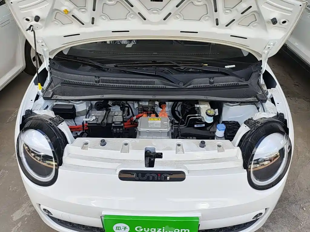 Photo 16 - Changan Lumin