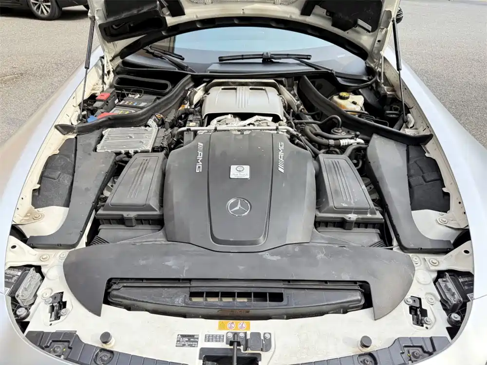 Mercedes-Benz AMG GT 2018 AMG GT C China Special Edition фото 25