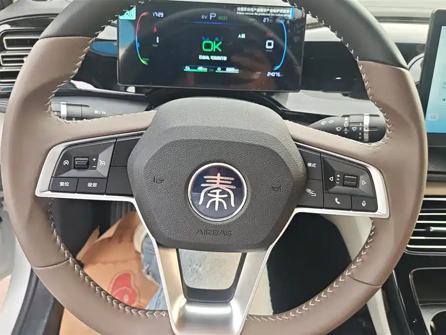 BYD Qin PLUS 2024 Glory Edition DM-i 55KM Leading фото 15
