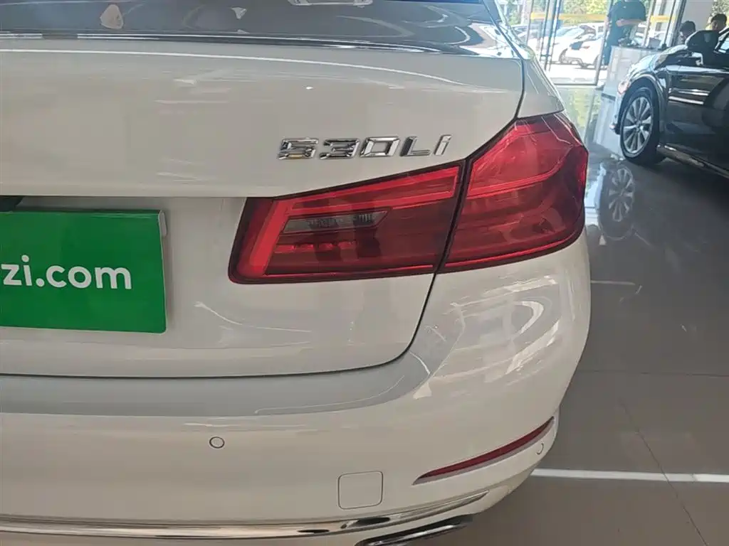 BMW 5 Series 2018 Facelift 530Li Exclusive Luxury Package фото 8