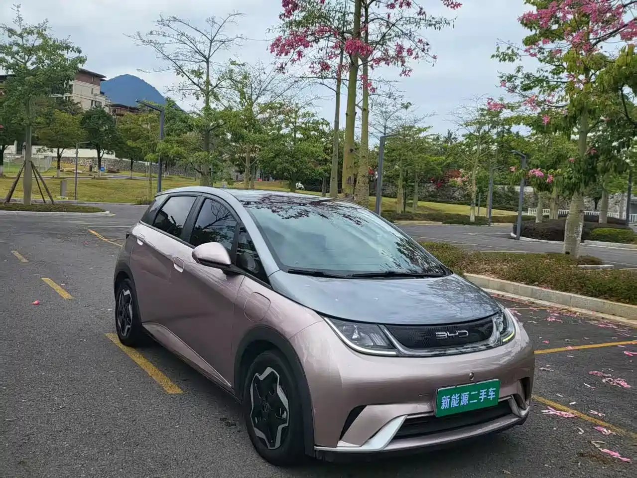 BYD Dolphin 2021 Model 405km Fashion Edition фото 3