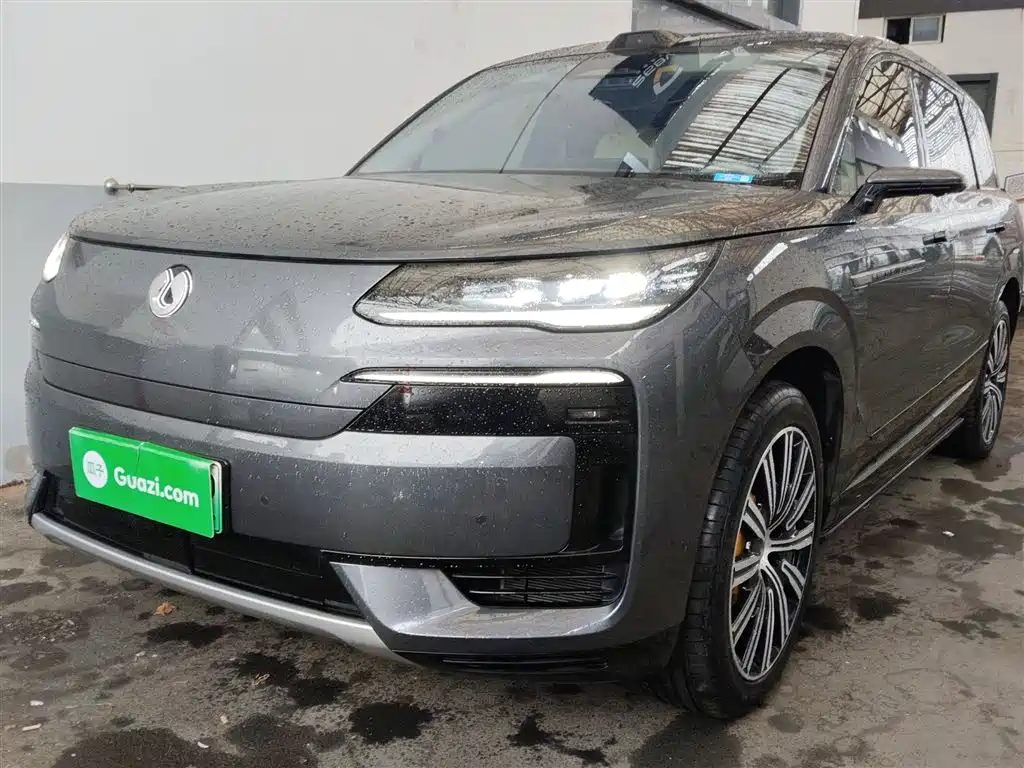 Denza N9 2025 Flagship Model