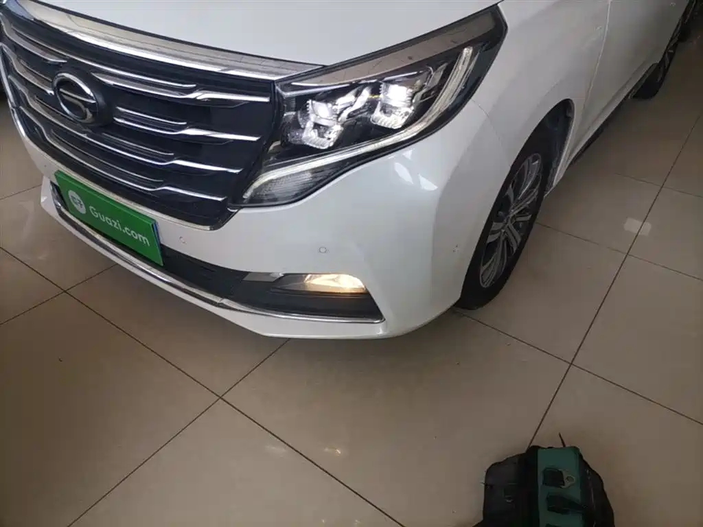 GAC Trumpchi Trumpchi M8 2018 320T Flagship Edition фото 24