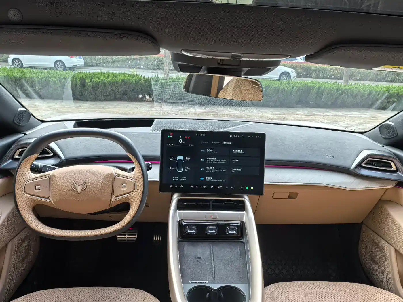 ARCFOX EXTREME FOX POLAR FOX ALPHA S5