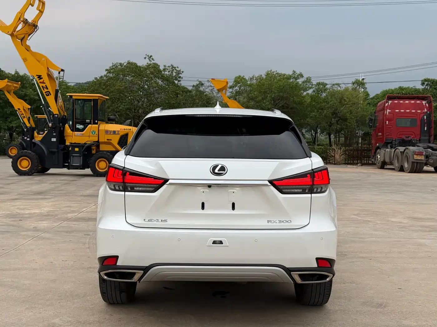 Lexus RX 2020 300 AWD Elegance Edition China V фото 7