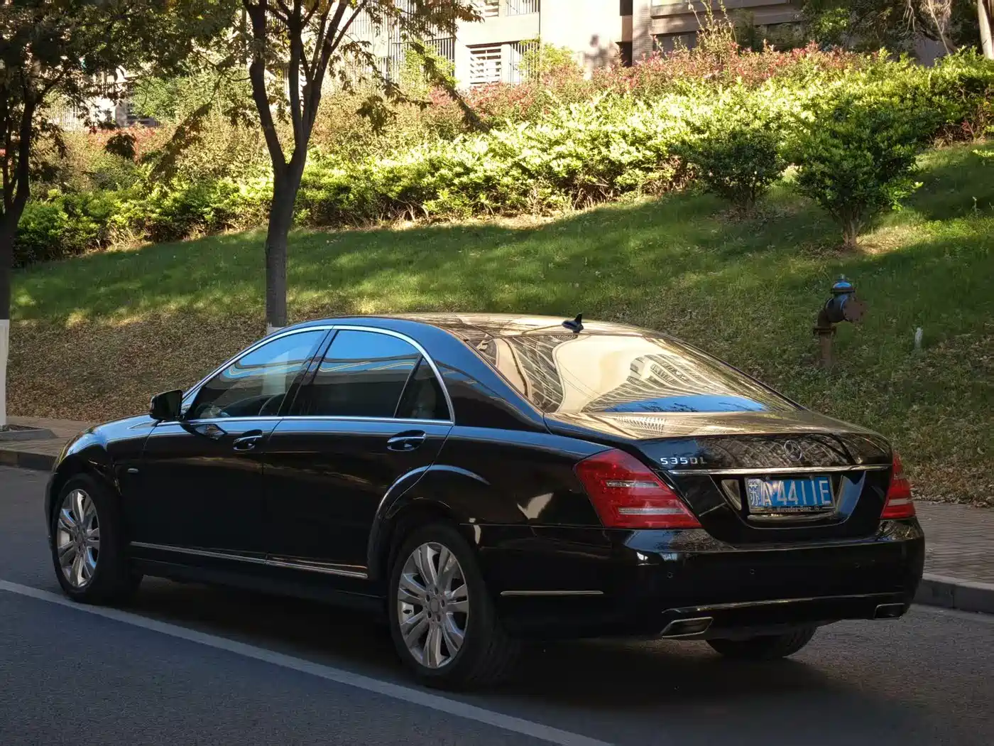 Mercedes-Benz S-Class 2012 S 350 L Grand Edition фото 18