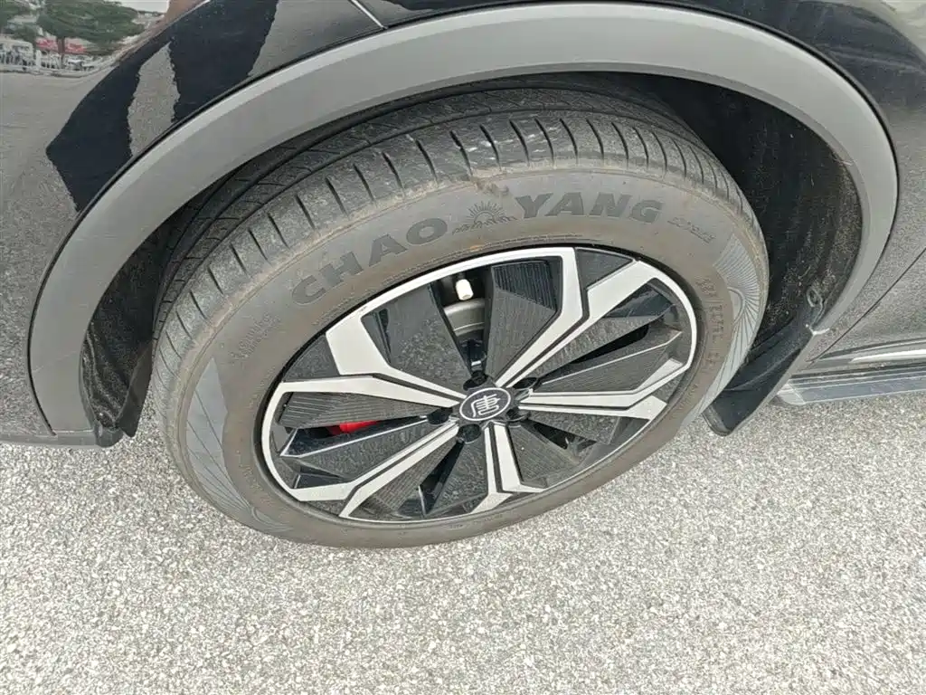 BYD Tang New Energy 2022 EV 730KM Premium фото 23