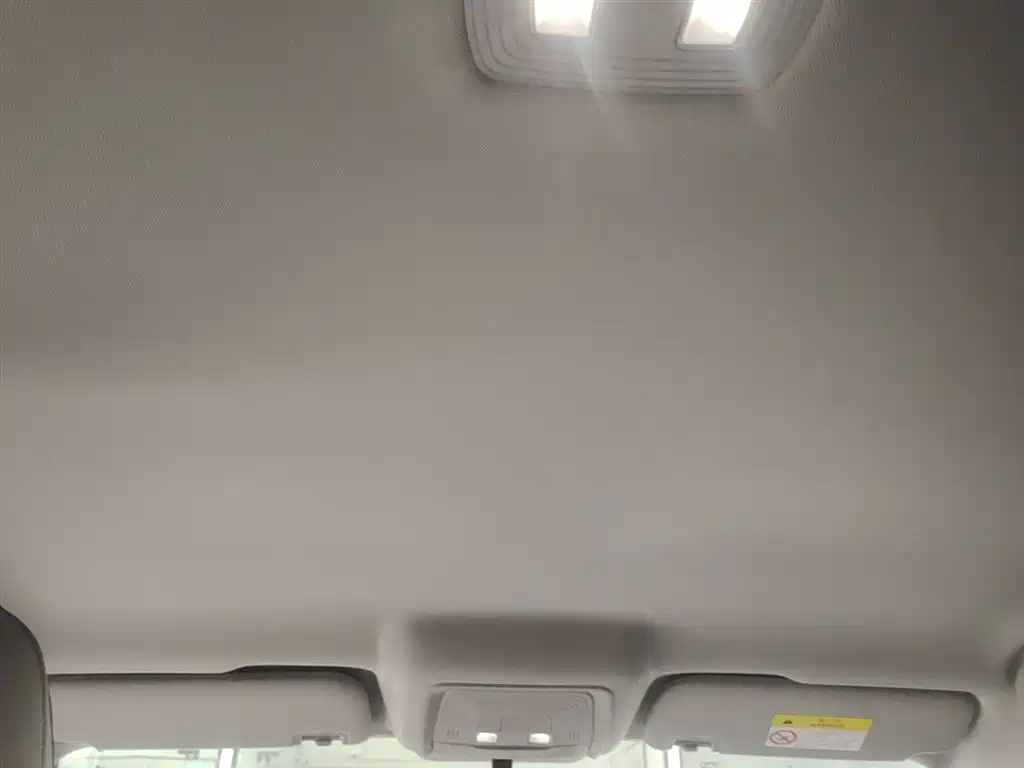 BYD Destroyer 05 2023 Model Champion Edition DM-i 120KM Luxury фото 18