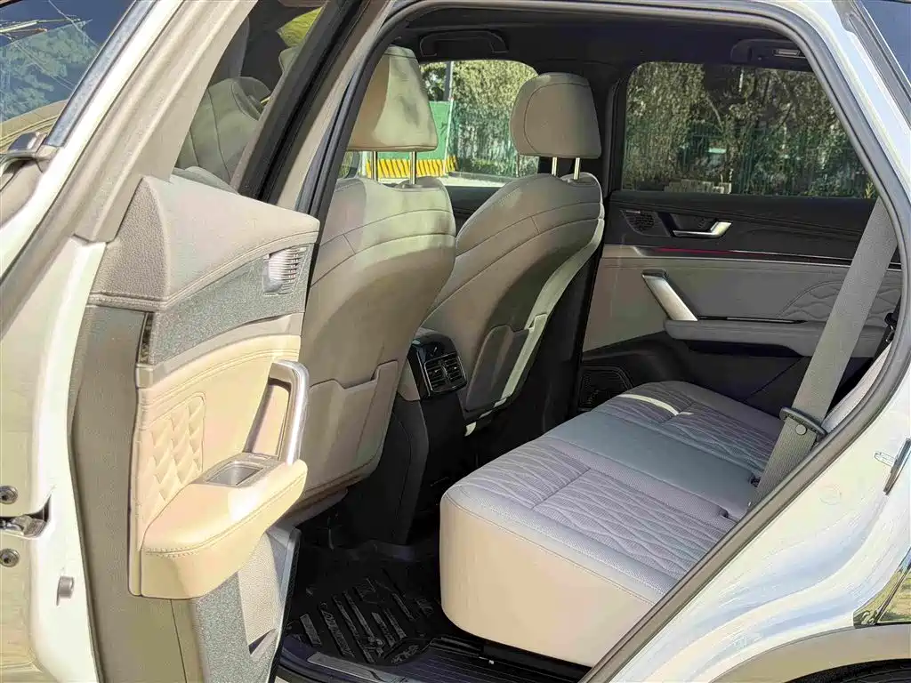 BYD Tang New Energy 2025 2025 DM-i 115KM Prestige Type