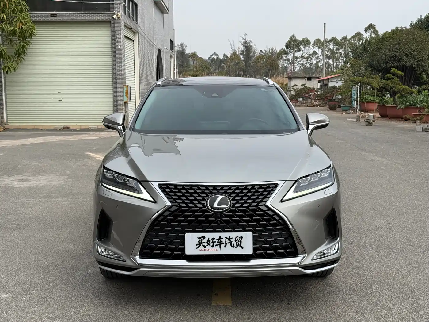Lexus RX 2020 300 4WD Elegance Edition China VI фото 2