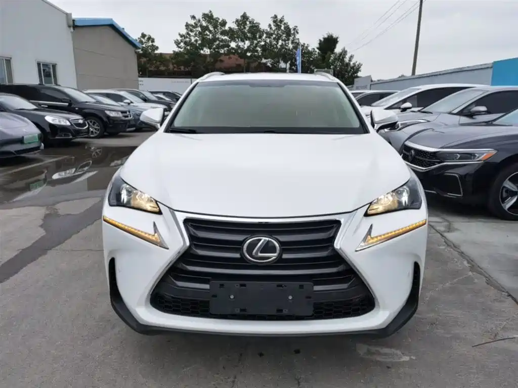 Lexus NX 2015 200 AWD Luxury фото 3