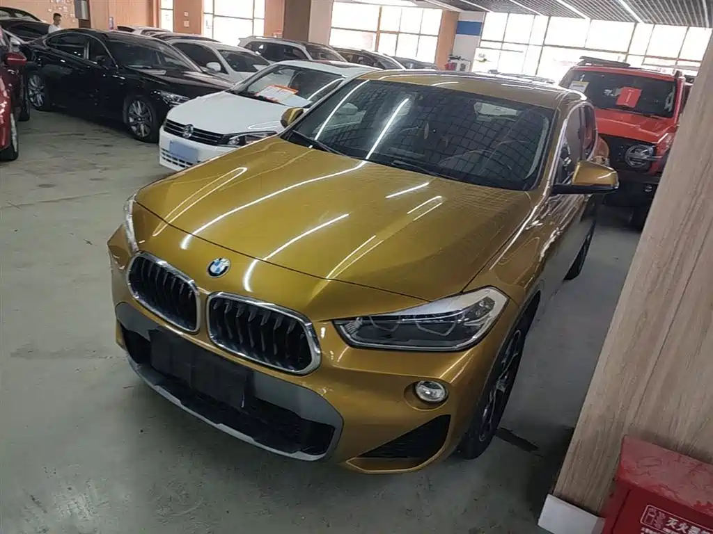 BMW X2 (Import) 2019 sDrive20i M Off-Road Package China VI